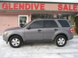 Sterling Grey Metallic Ford Escape in 2010