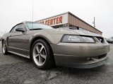 2001 Mineral Grey Metallic Ford Mustang GT Convertible #75924800