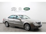 2008 Pewter Metallic Mercedes-Benz E 350 4Matic Sedan #75925064
