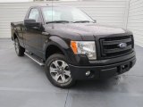 2013 Tuxedo Black Metallic Ford F150 STX Regular Cab #75924752