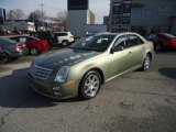 Silver Green Cadillac STS in 2005