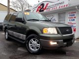 2003 Estate Green Metallic Ford Expedition XLT 4x4 #75977834