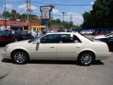 2011 Vanille Latte Metallic Cadillac DTS Luxury #75977800