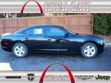 2013 Dodge Charger SE