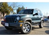 Deep Beryl Green Pearl Jeep Liberty in 2006