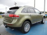 Ginger Ale Lincoln MKX in 2013