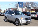 Ingot Silver Metallic Ford Escape in 2010