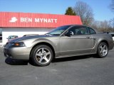 2001 Mineral Grey Metallic Ford Mustang Cobra Coupe #76072561