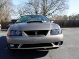 2001 Ford Mustang Cobra Coupe Exterior