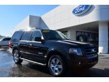 2007 Black Ford Expedition Limited #76072099