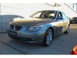 2010 BMW 5 Series 528i xDrive Sedan