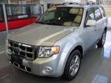 2009 Brilliant Silver Metallic Ford Escape Limited V6 4WD #76185752