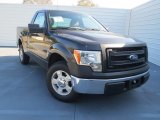 2013 Tuxedo Black Metallic Ford F150 XL Regular Cab #76224182