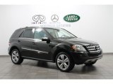 2010 Verde Brook Metallic Mercedes-Benz ML 350 4Matic #76224485