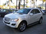 Arctic White Mercedes-Benz ML in 2010