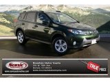 2013 Toyota RAV4 XLE AWD