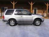 Silver Birch Metallic Ford Explorer in 2003