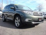 2012 Cypress Green Pearl Toyota Highlander Limited 4WD #76332457