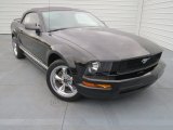 2005 Black Ford Mustang V6 Premium Convertible #76332819