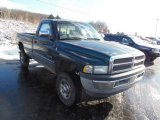 Forest Green Pearl Dodge Dakota in 2002