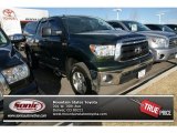 2010 Spruce Green Mica Toyota Tundra TRD Double Cab 4x4 #76388894