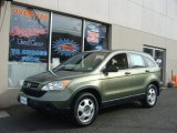 2007 Green Tea Metallic Honda CR-V LX 4WD #76389511