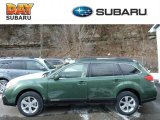 2013 Cypress Green Pearl Subaru Outback 2.5i Premium #76389092