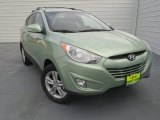 2013 Kiwi Green Hyundai Tucson GLS #76456565