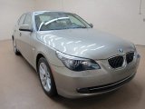 2010 Platinum Bronze Metallic BMW 5 Series 535i xDrive Sedan #76456344