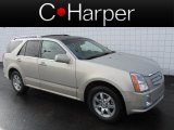 2008 Cadillac SRX 4 V6 AWD