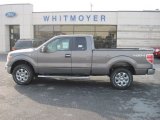 2013 Sterling Gray Metallic Ford F150 XLT SuperCab 4x4 #76499795