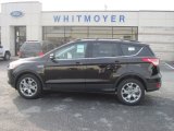 2013 Kodiak Brown Metallic Ford Escape SEL 2.0L EcoBoost 4WD #76499791