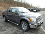 2013 Sterling Gray Metallic Ford F150 XLT SuperCab 4x4 #76499504