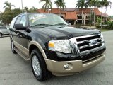 2012 Black Ford Expedition XLT #76564689