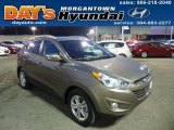 2013 Chai Bronze Hyundai Tucson GLS #76565214