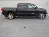 2010 Toyota Tundra Platinum CrewMax 4x4 Exterior