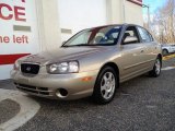 2001 Champagne Hyundai Elantra GLS #76624594