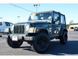 2003 Shale Green Metallic Jeep Wrangler X 4x4 #76624544