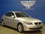 2010 Titanium Silver Metallic BMW 5 Series 528i xDrive Sedan #76624075