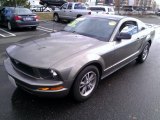 2005 Mineral Grey Metallic Ford Mustang V6 Deluxe Coupe #76682130