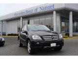 2007 Mercedes-Benz ML 350 4Matic