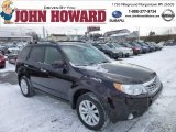 2013 Subaru Forester 2.5 X Premium