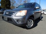 2005 Pewter Pearl Honda CR-V Special Edition 4WD #76740594