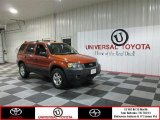 2006 Blazing Copper Metallic Ford Escape XLT #76740415