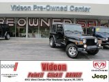 2002 Jeep Wrangler Sahara 4x4