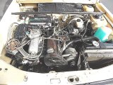1978 Volkswagen Dasher Wagon 1.6 Liter Fuel Injected SOHC 8-Valve 4 Cylinder Engine