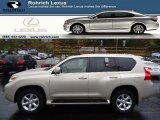 2010 Lexus GX 460