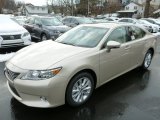 Satin Cashmere Metallic Lexus ES in 2013