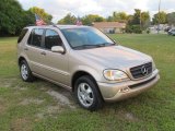 2004 Mercedes-Benz ML Desert Silver Metallic