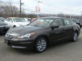 Dark Amber Metallic Honda Accord in 2011